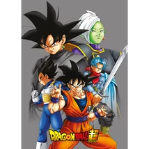 Dragon Ball polár takaró 