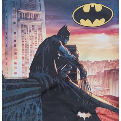 DC Batman párnahuzat 