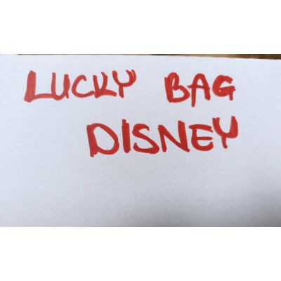 Lucky Bag Disney 